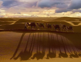 摄影的真正意义是什么？