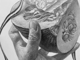  “结构素描”与“设计素描”之辨