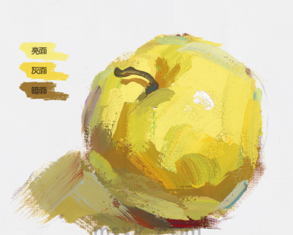 色彩起步系列之六| 苹果单体画法